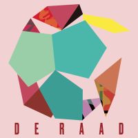 De Raad Van Toezicht De Raad