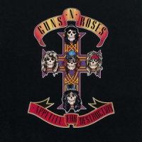 Guns N' Roses Appetite For Destruction (180gr + Download)