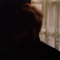 Palace Brothers Days In The Wake