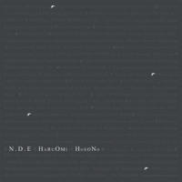 Hosono, Haruomi N.d.e.