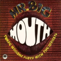 Williams, Tunde & Lekan Animashaun Mr. Big Mouth / Low Profile