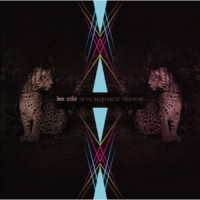 Don Nino In The Backyard Of Your Mind