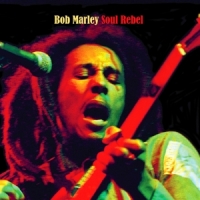 Marley, Bob Soul Rebel -coloured/ltd-