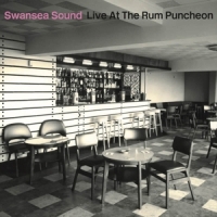 Swansea Sound Live At The Rum Puncheon