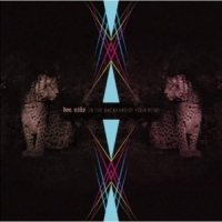 Don Nino In The Backyard Of Your Mind