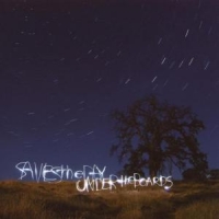 Saves The Day Under The Boards