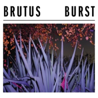 Brutus Burst