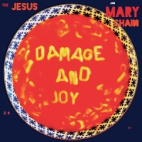 Jesus And Mary Chain Damage And Joy -coloured-