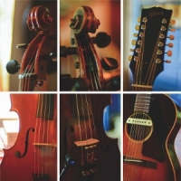 Gangloff/schenker/sheppard Universal Light