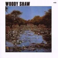 Shaw, Woody Lotus Flower