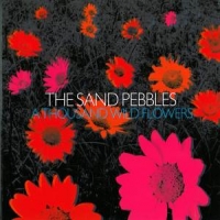 Sand Pebbles A Thousand Wild Flowers