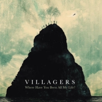 Villagers Where Have You Been All My Life?