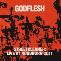 Godflesh Live At Roadburn 2011