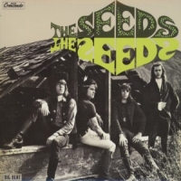 Seeds The Seeds