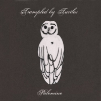 Trampled By Turtles Palomino
