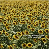 Echo And The Bunnymen Me, I Am All Smiles