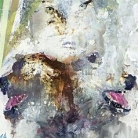 These Arms Are Snakes Tail Swallover And Dove