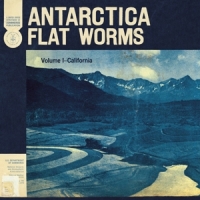 Flat Worms Antarctica