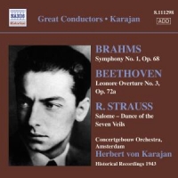 Geniusas, Lukas Symphony No.1