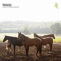 Tosca Pony (no Hassle Versions)