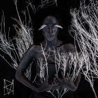 Bestial Mouths Heartless