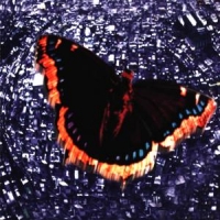 Baroness Royal Treatment