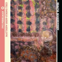 Perelman, Ivo & Matthew Shipp String Trio Armageddon Flower