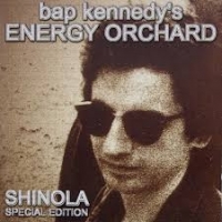 Bap Kennedy S Energy Orchard Shinola