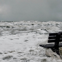 Leimer, K. The Starting Errors