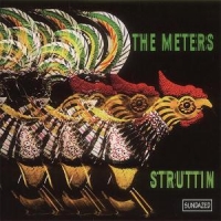 Meters Struttin + 2
