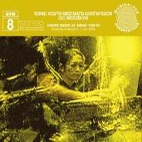 Sonic Youth / Gustafson / Merzbow Andre Side
