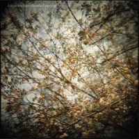 Horse Feathers Thistled Spring