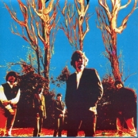 Miracle Workers Nineteeneightyfourway