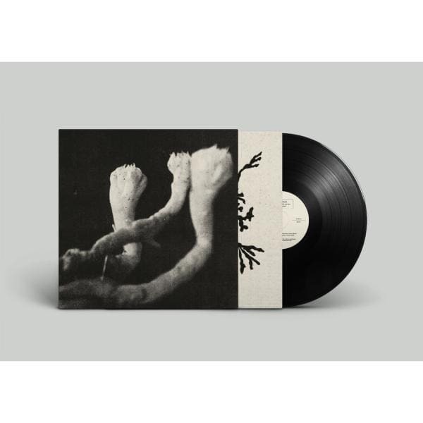 Agnel, Sophie Learning