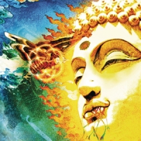 Rikard Sjoblom S Gungfly On Her Journey To The Sun