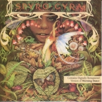 Spyro Gyra Morning Dance