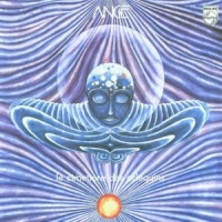 Ange Le Cimetiere Des Arlequin