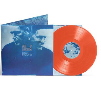 O'brien, Ed Blue Morpho -coloured-