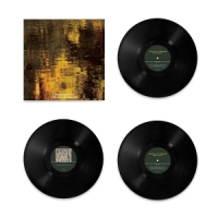 Davachi, Sarah The Will Of Tongues