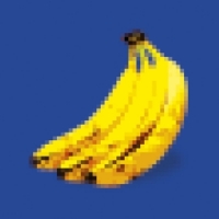 Jammin' Sam Miller Donkey Kong Country 3 -coloured-