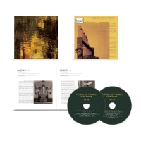 Davachi, Sarah The Will Of Tongues