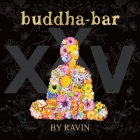 Various Buddha Bar Xxv