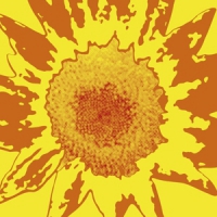 Oneida Each One Teach One (silver)