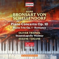 Triendl, Oliver Bronsart Von Schellendorf: Piano Concerto; Piano Trio