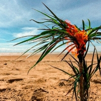 A Burial At Sea A Burial At Sea (5 Year Anniversary