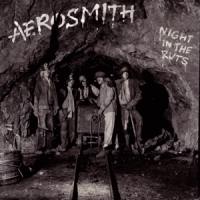 Aerosmith Night In The Ruts