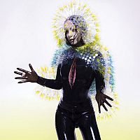 Bjork Vulnicura