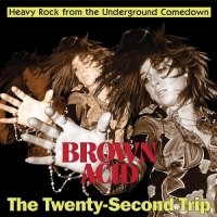 Various Brown Acid   The Twenty-second Trip