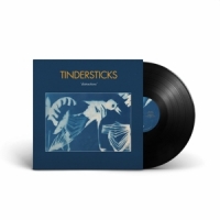 Tindersticks Distractions