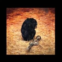 Buzz, Nick A Quiet Evening At Home